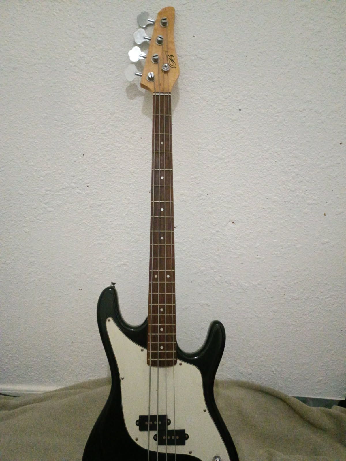 Electric Bass Guitar