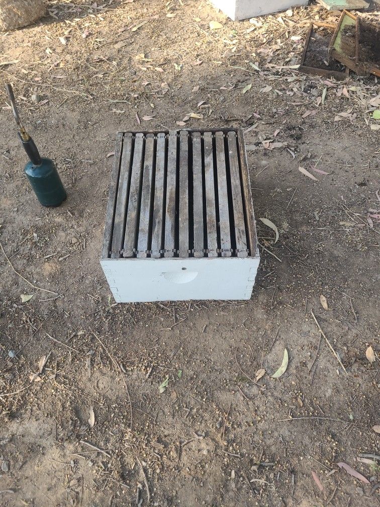 Bee Hive