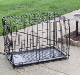 Collapsible dog crate