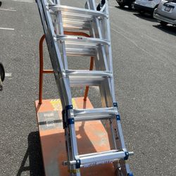 Ladder New