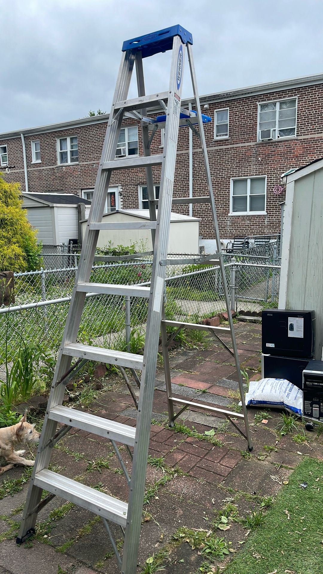 8’werner Ladder
