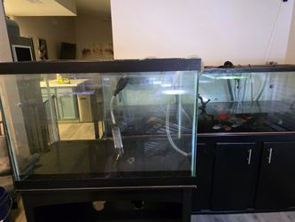 65g fish tank and stand !