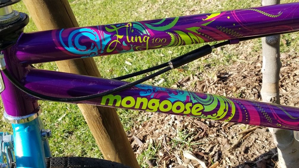 mongoose fling 100