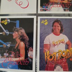 1990 CLASSIC WWF CARDS