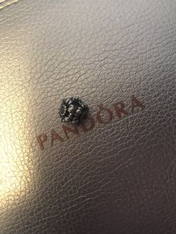 Pandora Charms