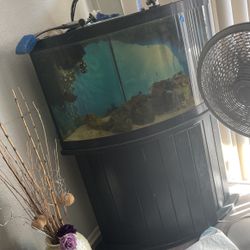 Fish Tank With Working Lights And Pumps