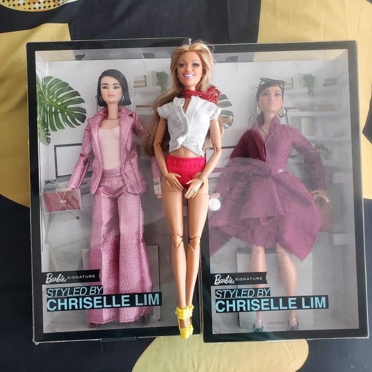 Special Barbie Doll Lot With Acessories