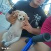 Erick