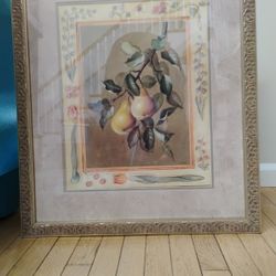 Beautiful Hanging Fruit Print Framed With Glass