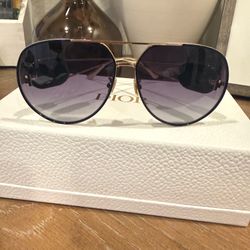 Dior Bobby A1U Aviator Sunglasses