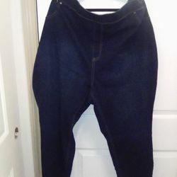 Terra & Sky Women's 4X(26W-28W) Blue Denim Pull On Skinny Jean