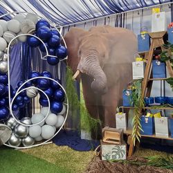 Large Elephant Cardboard Image 