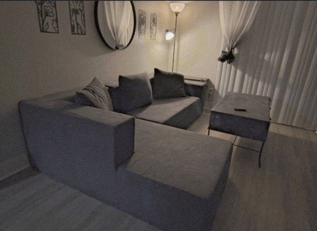 Soft Gray couches