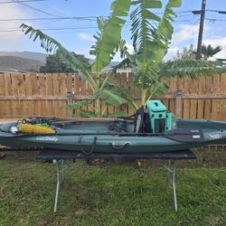 Kayak 