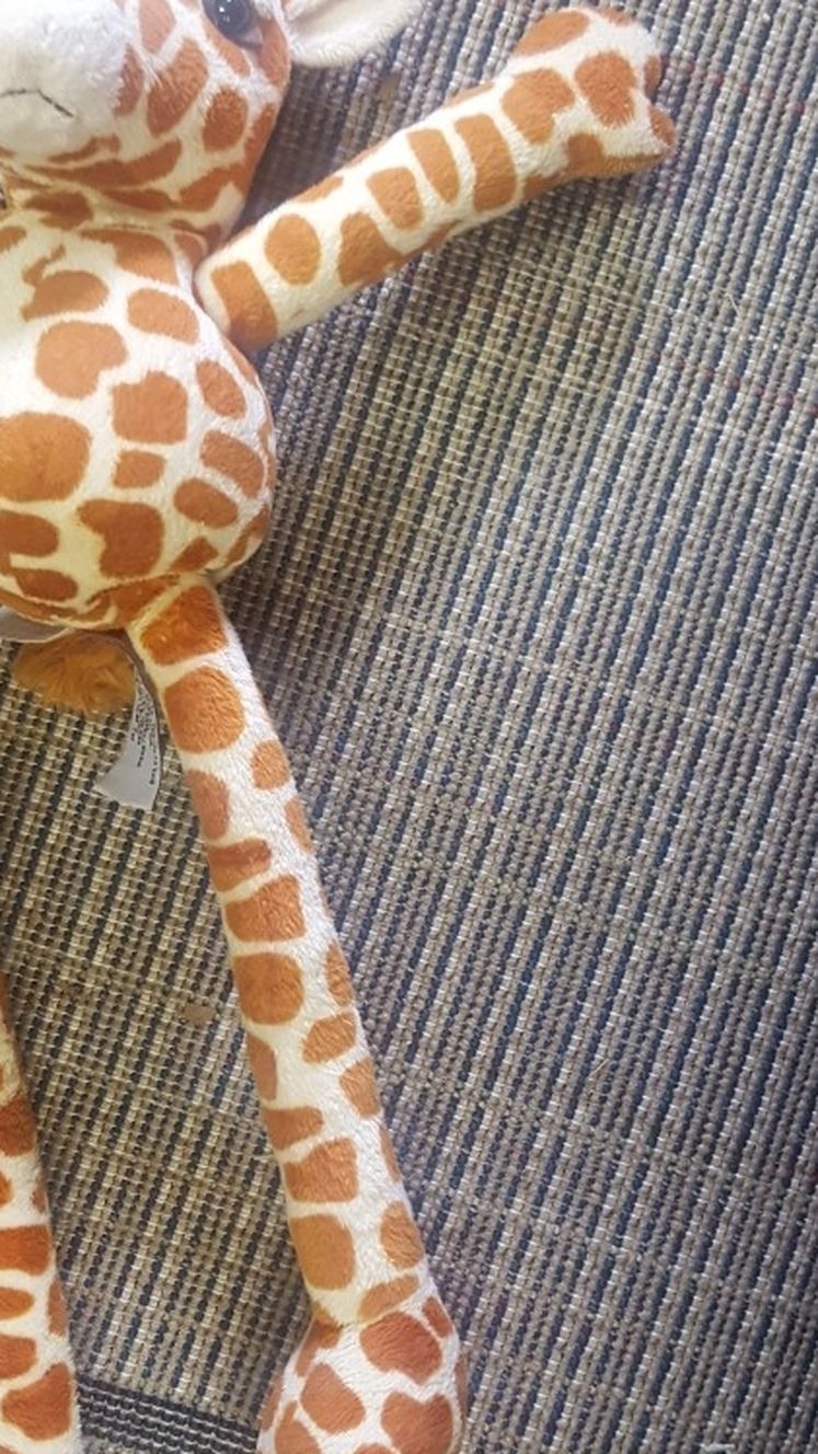 FAO Collectible Toy Giraffe