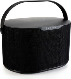 Brane X speaker bass sub