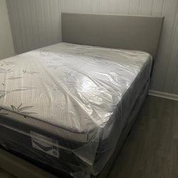 Mattress Sale