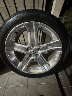 RIMS