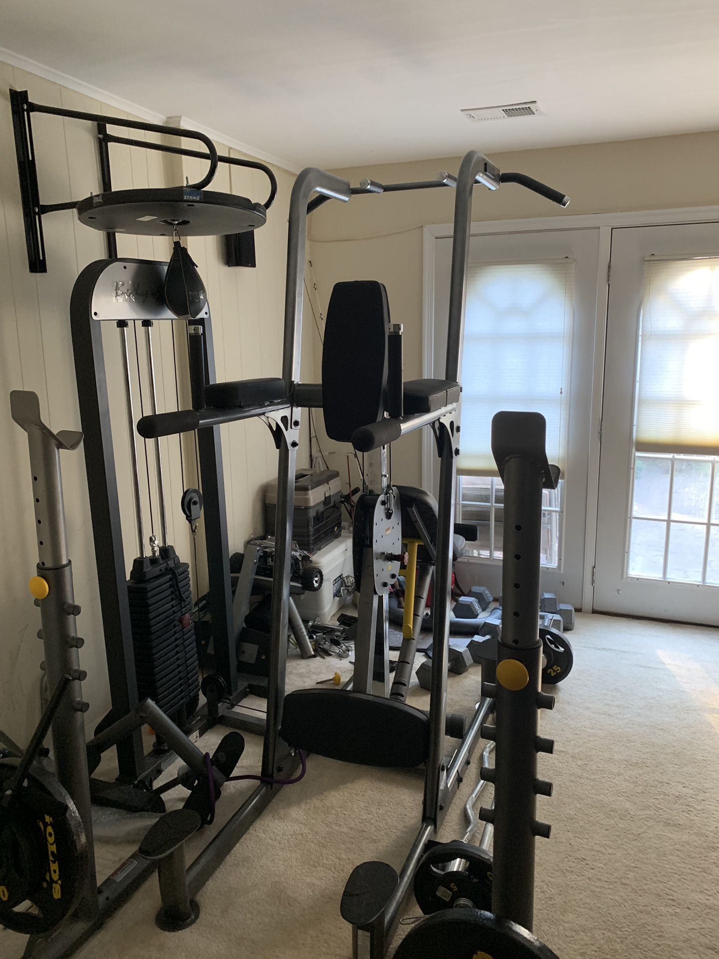 Assisted pull up and dip machine