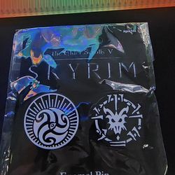 Skyrim Pins