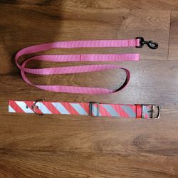 Reflective Pink Dog Collar & Leash For Large Medium  Dog