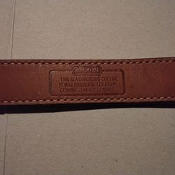 Coach Dog Collar 