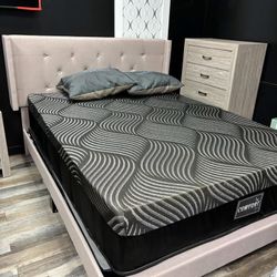 FREE DELIVER SAME DAY 