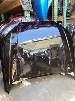 2017-2024 Audi S4 A4 Hood Shell Cover Panel OEM