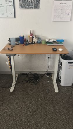 Twin sized bed frame and Movable desk
