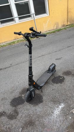 Bird electric scooter