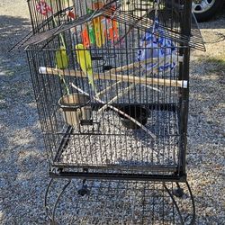 Large Bird Cage With Birds