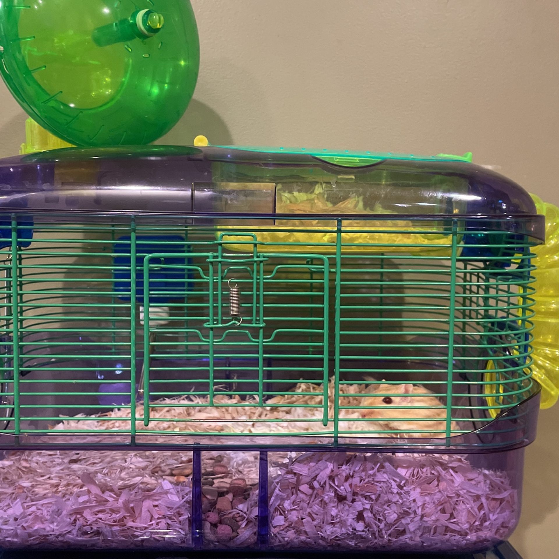 Free Gerbil Cage Complete With Gerbil