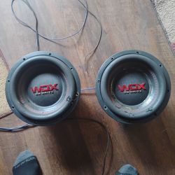 10" subwoofer