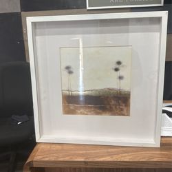 Box Frame Picture Frame 24/24