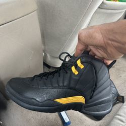 Jordan 12s Size 10 