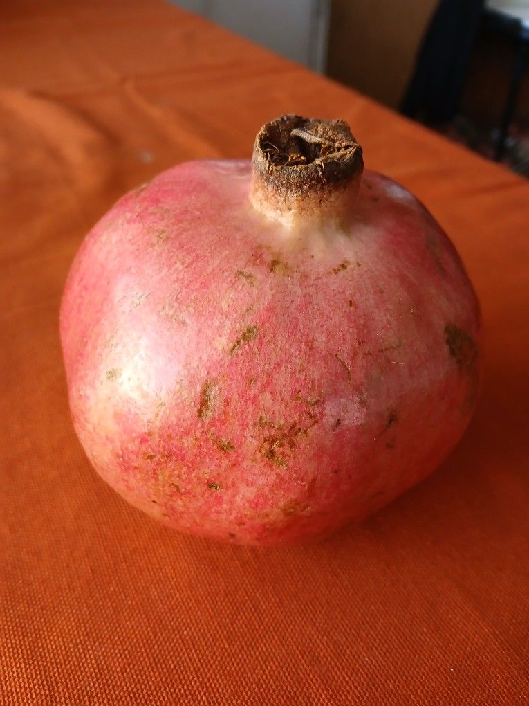 Pomegranates You Pick