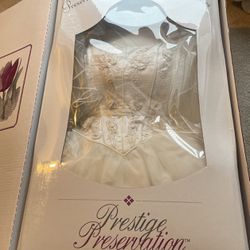 Wedding Dress And Veil Thumbnail