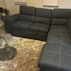 Couch / PullOut Bed 