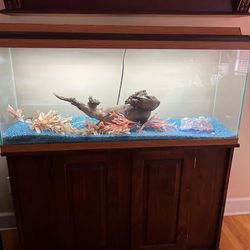 Lit Aquarium 