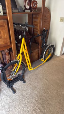 Dog exercising scooter