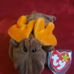 TY Beanie Babies Chocolate The Moose