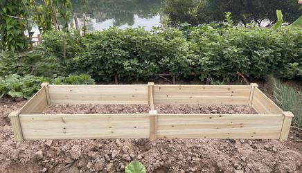 Raised Garden Bed 8x2ft – Large Wooden Planter Box with Liner for Vegetables, Fall Garden
