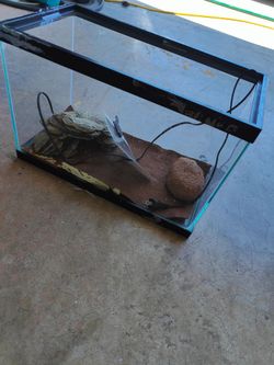 Terrarium aquarium for reptiles fishes or exotic animals pets