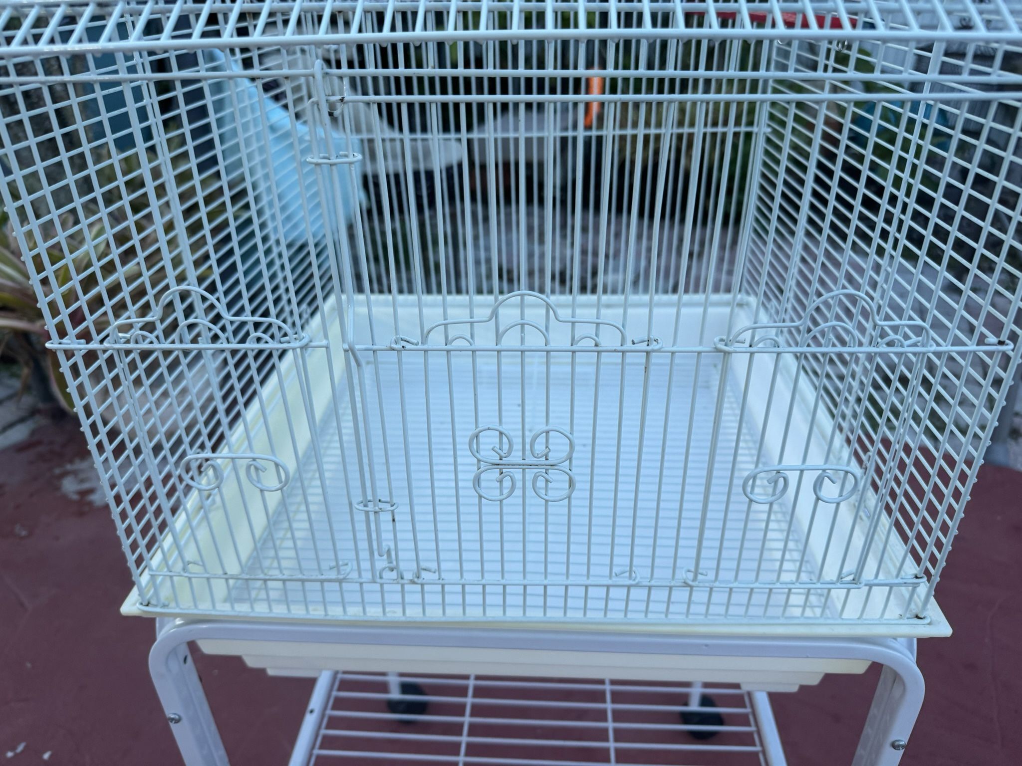 Bird Cage