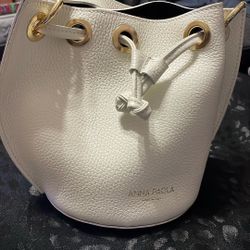 Anna Paola Purse