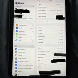 iPad Mini 6th-gen 256gb Cellular 