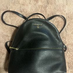 Micheal kors Bag