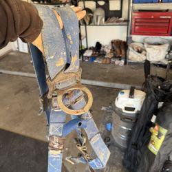 Harness, Tie Off And Yoyo