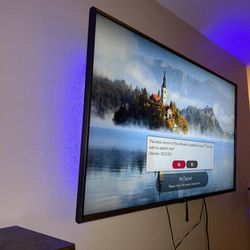 55” LG Smart TV With LED Mount