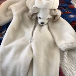 dog costume